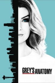 Nonton Grey’s Anatomy