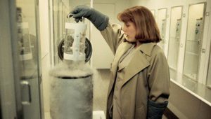 The X-Files: 1×24
