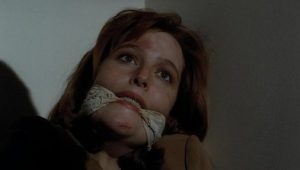 The X-Files: 2×13