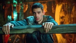 The 100: 3×11