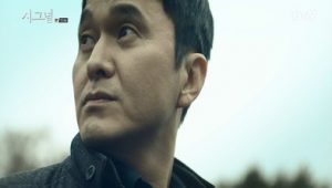 Signal 1×15