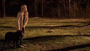 Absentia: 1×2