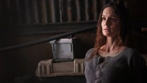 Colony: 3×5