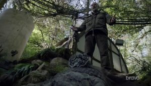 Colony: 3×6