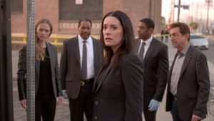 Criminal Minds: 11×19