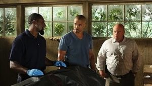 Criminal Minds: 5×20
