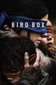 Nonton Bird Box 2018