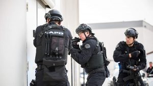 S.W.A.T.: 2×17