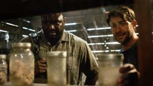 Zoo: 1×3