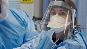 Pandemic: How to Prevent an Outbreak: 1×1