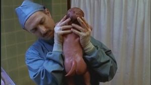 The X-Files: 4×20