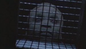 The X-Files: 4×3