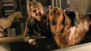 Smallville: 4×14