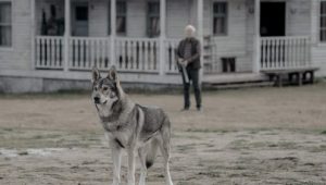 Absentia: 3×6