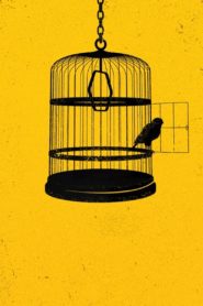 Locked Up: Season 1