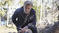The Sinner: 4×2
