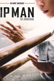 Nonton Ip Man: The Awakening 2022