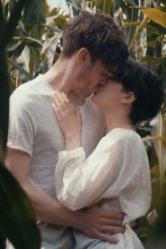 Nonton Corn 2017
