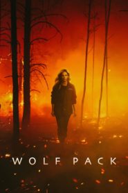 Nonton Wolf Pack 2023