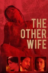 Nonton The Other Wife 2021