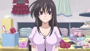 High School D×D: 1×1