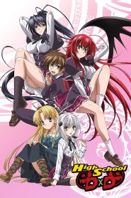 Nonton High School D×D 2012