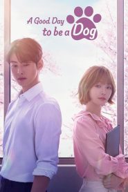 Nonton A Good Day to be a Dog 2023