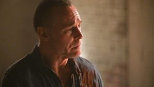 Chicago P.D.: 11×13