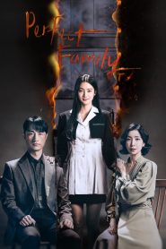 Nonton Perfect Family 2024