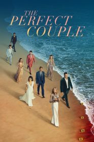 Nonton The Perfect Couple 2024