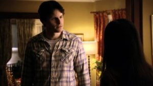 Nikita: 1×20