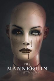 Nonton The Mannequin 2025