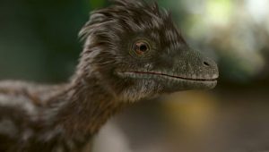 The Dinosaurs: 1×1