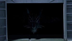 Affinity: 1×19