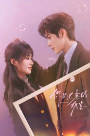You Are My Fateful Love: Season 1